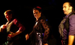 Flamenco dansers madrid