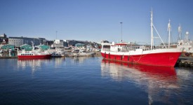 stedentrip Scandinavië - Oude haven reykjavik ijsland