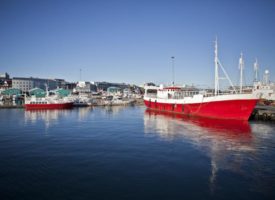 stedentrip Scandinavië - Oude haven reykjavik ijsland