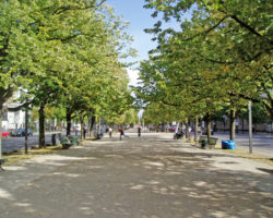 Unter den Linden