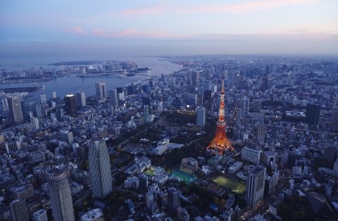 Tokyo in de avond